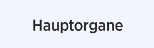 Hauptorgane