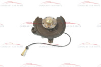 Alfa Romeo 916 Knuckle / Wheel Hub rear RH CF1