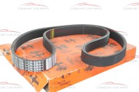 60814847 / 60813506 / 46540546 Alfa Romeo 145/146/147/156 1.9 JTDM & Fiat & Lancia Keilrippenriemen L=1036