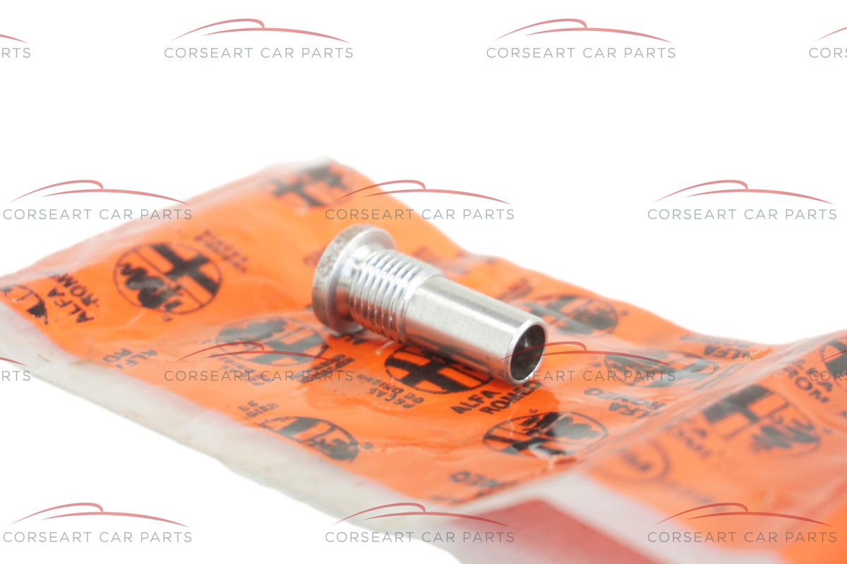 60616736 Alfa Romeo Plug