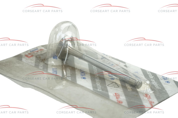 5973128 Fiat & Lancia Auslassventil