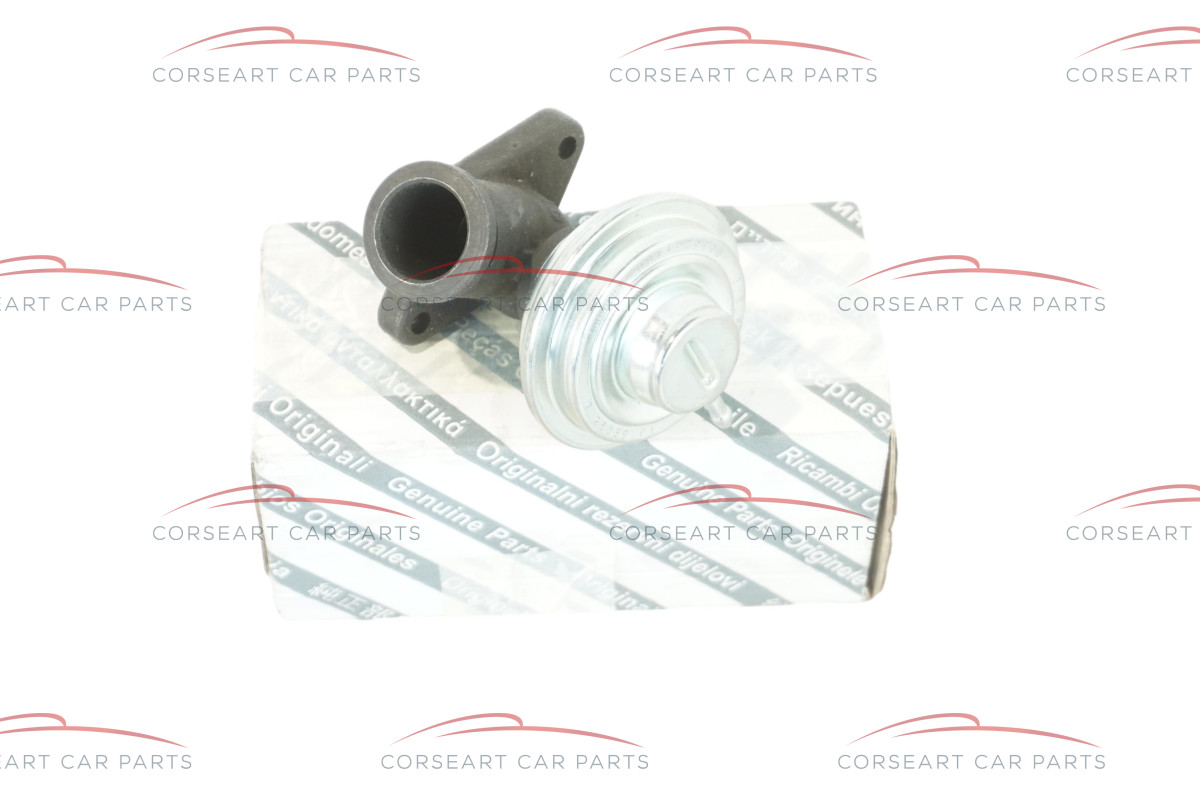 9637517580 Fiat & Lancia EGR Valve