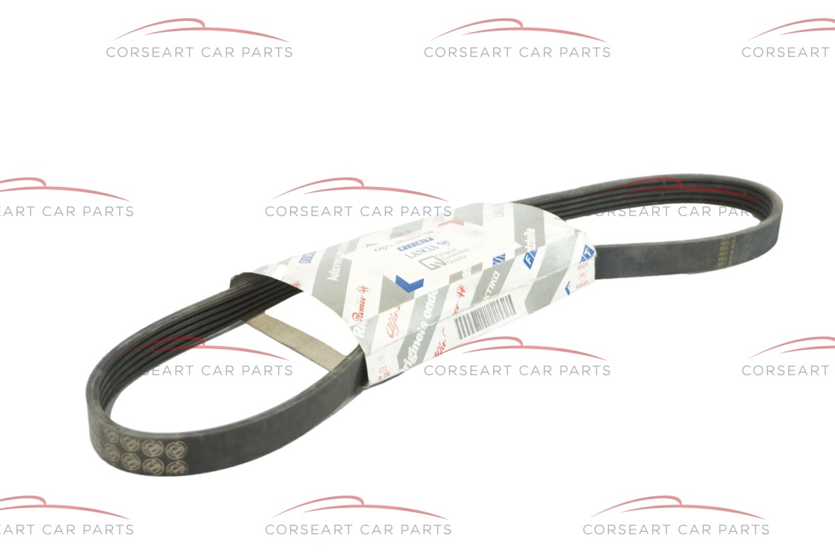 7629229 Fiat & Lancia V-Rib Belt