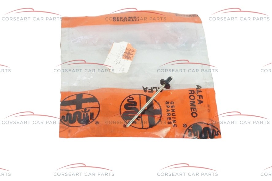 60503492 Alfa Romeo 33 (90-94) Niete Dachablauf