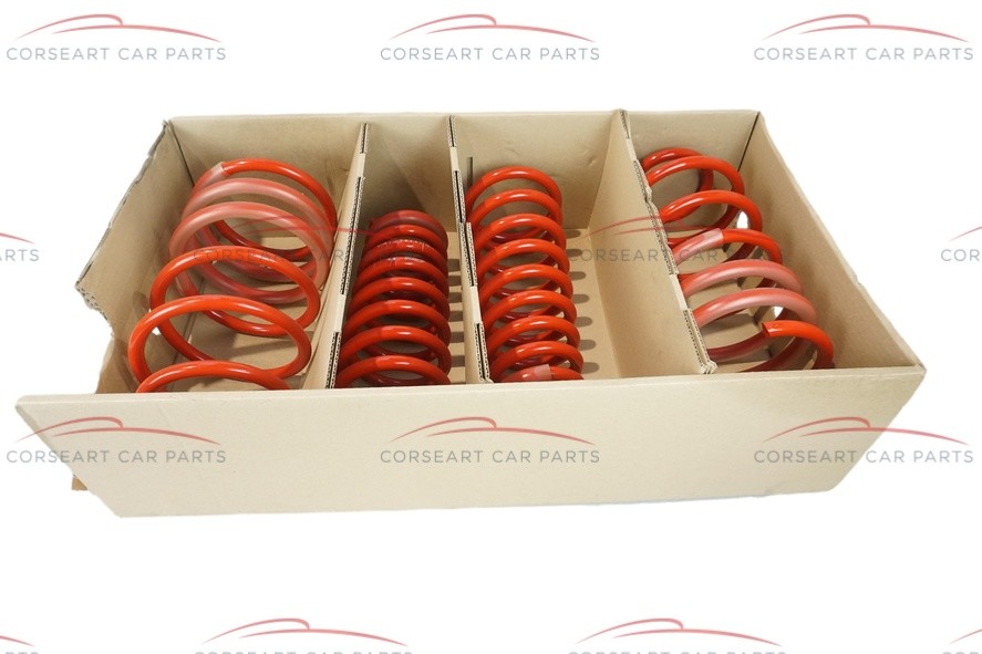 60877371 Fiat Feder Set (4 Stück)