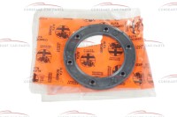 105483250200 / 60516960 Alfa Romeo 33 & 101 & 105/115 & 116 & Alfasud/Sprint Dichtung Tankgeber