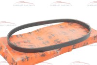 60597250 Alfa Romeo Spider 916 3.0 V6 12V V-Rib Belt