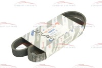 55194752 / 71719644 Fiat Doblo & Palio & Strada Keilrippenriemen L=1050