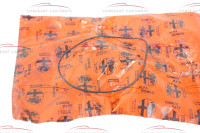 60507425 Alfa Romeo & Lancia Seal Gasket Piston