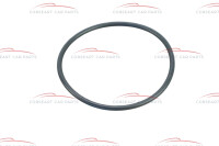 60813175 14459780 Alfa Romeo & Fiat/Lancia thermostat gasket