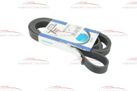 60630741 6PK1975 Alfa Romeo verschiedene Modelle Keilrippenriemen (DAYCO)