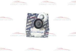 46524692 60814110 Alfa Romeo & Fiat/Lancia Spannrolle (RUVILLE)