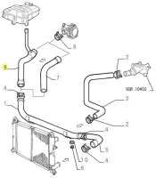 60579209 Alfa Romeo 155 - Kühlerschlauch
