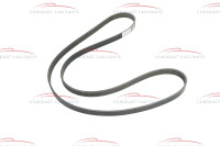 51855784 Alfa Romeo 159 / Brera / Spider - Keilrippenriemen (FPT)