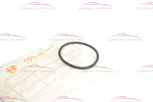 10548450200213 Alfa Romeo Giulia Super & GT Junior & Spider Junior (1300-1600) / Berlina & GTV & Spider (1750-2000) - Dichtung