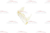 11650081810000 Alfa Romeo Alfetta / Giulietta 116 / GTV4 & GTV6  - Halterung für Ansaugung