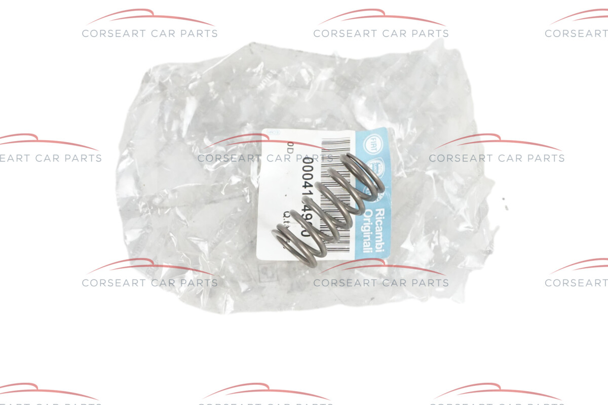 4134900 60800014 Alfa Romeo & Fiat/Lancia - valve spring